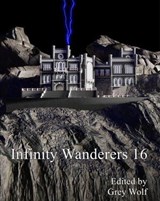 Infinity Wanderers 16 - Grey Wolf - 9798233135422