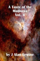 A Taste of the Madness Vol. 4 - J Alan Erwine - 9798233346729