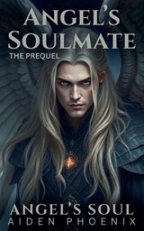 The Prequel - Aiden Phoenix - 9798233385810