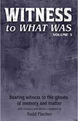 WITNESS to What Was: Volume 3 - Todd Fischer - 9798233807664