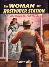 The Woman at Rosewater Station - Sandy Stone - 9798233874758
