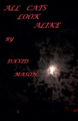All Cats Look Alike. - David Mason - 9798233978357