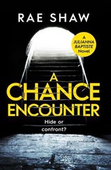 A Chance Encounter - Rae Shaw - 9798235290402