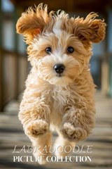 Labradoodle Photo Collection - Ymi Collection - 9798243291378