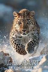 Leopard Photo Collection - Ymi Collection - 9798243394123