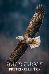 Bald Eagle Photo Collection: Beautiful Full-Page Pictures of Bald Eagles and Eaglets for All Ages (Simple Photo Books). - Ymi Collection - 9798243396660