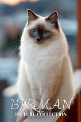 Birman Cat Photo Collection - Ymi Collection - 9798244680676