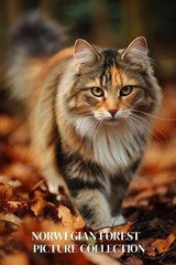 Norwegian Forest Cat Photo Collection - Ymi Collection - 9798246154243