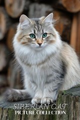 Siberian Cat Photo Collection - Ymi Collection - 9798246156056