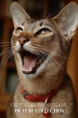 Oriental Shorthair Cat Photo Collection - Ymi Collection - 9798246156261