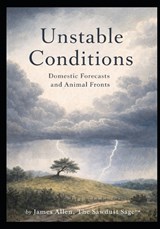 Unstable Conditions - James Allen - 9798246206751
