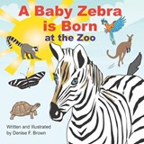 A Baby Zebra is Born at the Zoo - Denise F Brown - 9798247820604