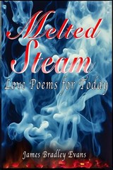 Melted Steam - James Bradley Evans - 9798248077090