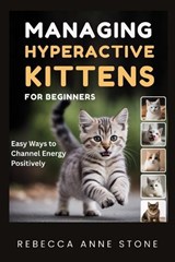 Managing Hyperactive Kittens for Beginners - Rebecca Anne Stone - 9798251093933
