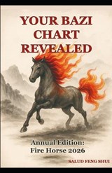 Your BaZi Chart Revealed - Juan Gabriel Fallas Acosta - 9798254367130