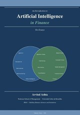 An Introduction to Artificial Intelligence in Finance - Arvind Ashta - 9798255695614