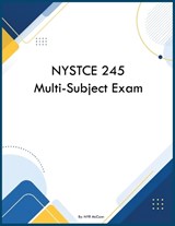 NYSTCE 245 Multi-Subject Exam - Nyr McCann - 9798256055905