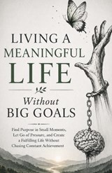 Living a Meaningful Life Without Big Goals - Ryan Taylor - 9798259394612