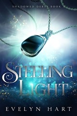 Steeling Light - Evelyn Hart - 9798262845804