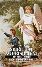 Daily Spiritual Nourishment - John Damian Adizie - 9798267252775