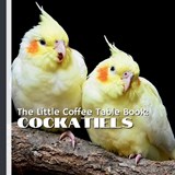 The Little Coffee Table Book - Mehco Design - 9798269172989