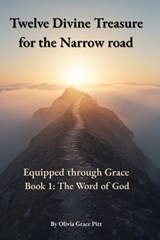 Twelve Divine Treasures for the Narrow road - Olivia Grace Pitt - 9798269326962