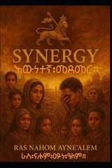 Synergy - Nahom Ayne'alem - 9798271304453