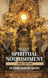 Daily Spiritual Nourishment - John Damian Adizie - 9798292951216