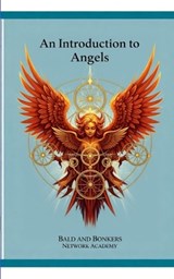 An Introduction to Angels - Dakota Frandsen - 9798295612527
