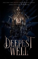 Deepest Well - Juliette Cross - 9798295697036