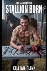 The Stallion Cycle - Killian Flinn - 9798298412612