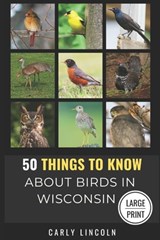 50 Things to Know About Birds in Wisconsin Large Print: Birding in the Badger State - 50 Things to Know - 9798301288135