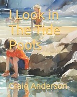 I Look in The Tide Pools - Craig Anderson - 9798311330480