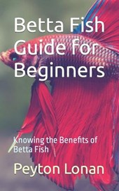 Betta Fish Guide for Beginners