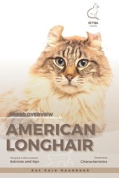 American Longhair