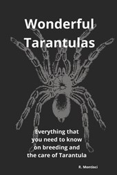 Wonderful Tarantulas