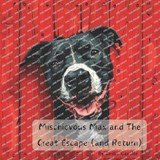 Mischievous Max and The Great Escape (and Return) - Leslie Camille - 9798322350187