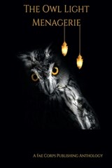 The Owl Light Menagerie - Steve Van Samson - 9798326852236