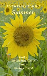Everyday Magic: Summer - Charley Elbow - 9798333403872