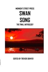 Swan Song - Allen Ashley ; Ralph Robert Moore - 9798345401866
