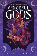Vengeful Gods - Elliott Rose - 9798347020119