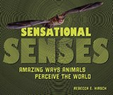 Sensational Senses - Rebecca E. Hirsch - 9798348051471