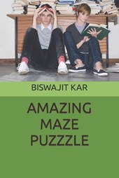Amazing Maze Puzzzle