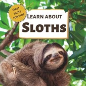 Learn About Sloths