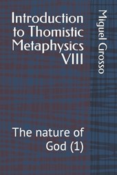Introduction to Thomistic Metaphysics VIII