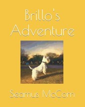 Brillo's Adventure