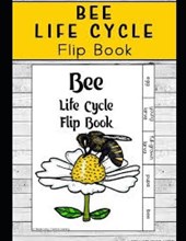 Life Cycle of Bees