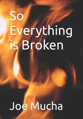 So Everything is Broken