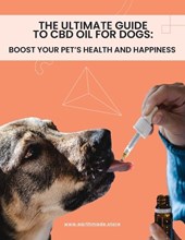 The Ultimate Guide to CBD Oil for Dogs: Boost Your Pet's Health and Happiness