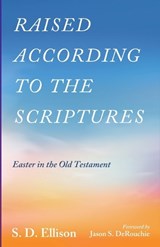 Raised According to the Scriptures - S D Ellison - 9798385207855